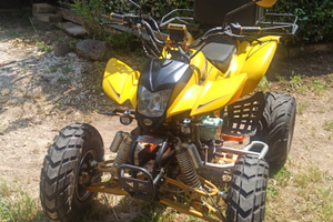 Quad parvisa hurricane