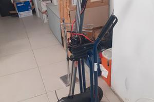 Fuoribordo Elettrico