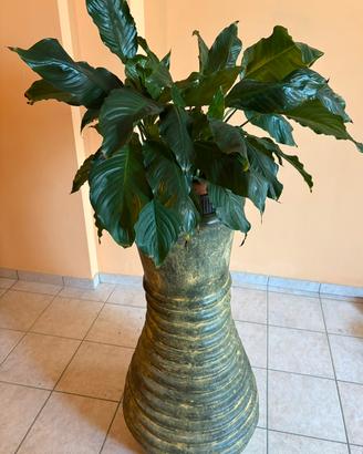 Vaso anfora terracotta ARTIGIANALE