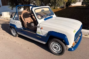 Renault R4 Frog perfetta