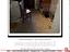 Immagine 29
