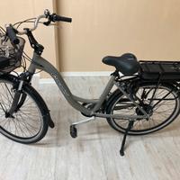 Bicicletta Elettrica
