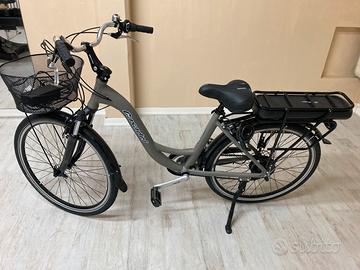 Bicicletta Elettrica