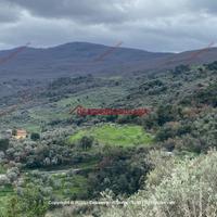 Terreno, Militello Rosmarino.