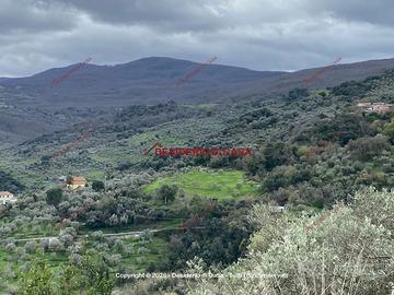 Terreno, Militello Rosmarino.