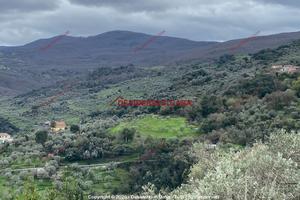 Terreno, Militello Rosmarino.