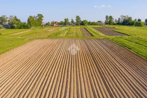 TERRENO A BARIANO