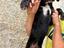 Immagine 5