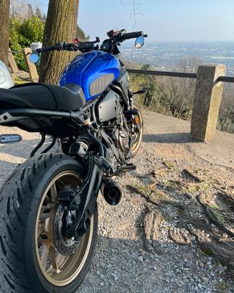 Yamaha XSR700 (2025) – Pari al nuovo