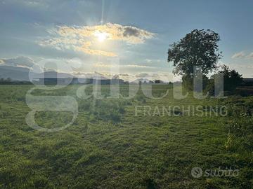 Terreno Agricolo Alife [Cod. rif 3254004VCG]