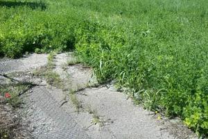 TERRENO AREA DEPOSITO RECINTATO Mq 500