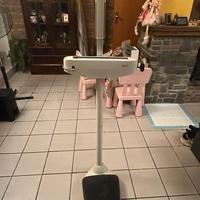 Bilancia con altimetro seca pesa persone vintage