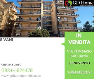 Zona Mellusi