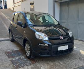 Fiat Panda 1.0 FireFly S&S Hybrid - Km 0