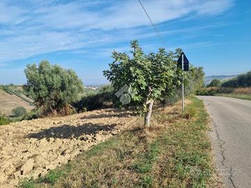 TER. RESIDENZIALE A MORRO D'ORO