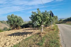 TER. RESIDENZIALE A MORRO D'ORO