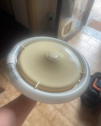LAMPADA NEON E PORTALAMPADA e27 CON STARTER