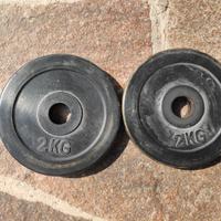 coppia dischi 2kg28mm