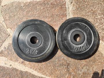 coppia dischi 2kg28mm