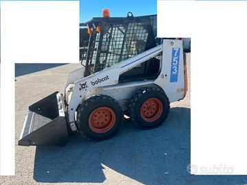 Minipala Bobcat 753