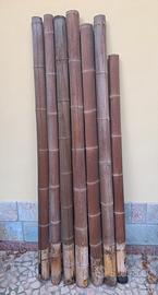Canne di Bamboo