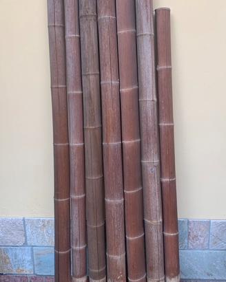 Canne di Bamboo