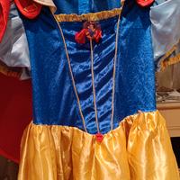 Abito carnevale bambina