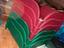 Immagine 2