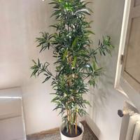 Pianta artificiale IKEA FEJKA modello bamboo 180cm