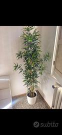 Pianta artificiale IKEA FEJKA modello bamboo 180cm