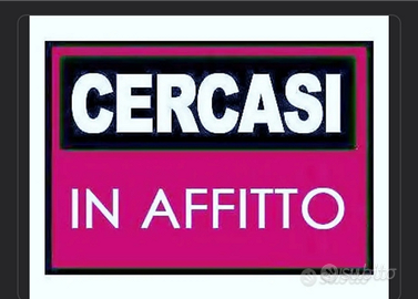 Disponibilità immediata