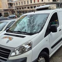 fiat scudo coibentato 