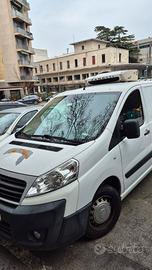 fiat scudo coibentato 