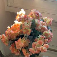 Begonia cespuglio artificiale color pesca-giallo