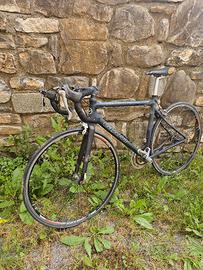 Giant TCR