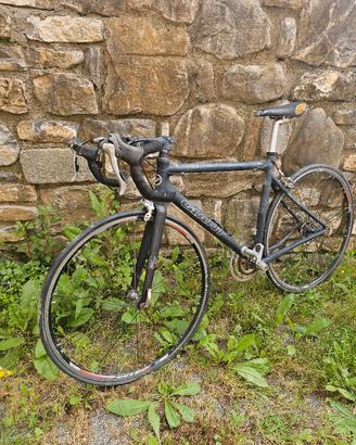 Giant TCR