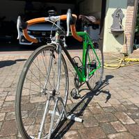 Olmo 50th anniversary