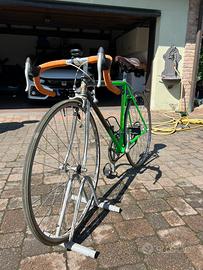 Olmo 50th anniversary