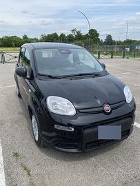 FIAT PANDA 2025 - 11.000KM
