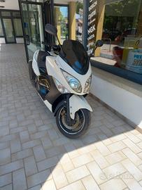 T. max 500