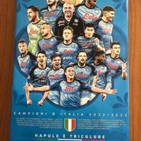 Quadro del Napoli Campione