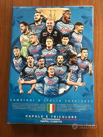 Quadro del Napoli Campione