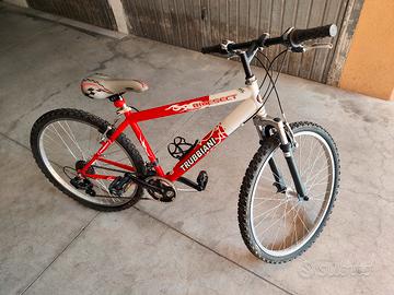 bici Mountain bike ragazzo 8-12 anni