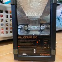 Faro professionale Osram Halodium 250 W