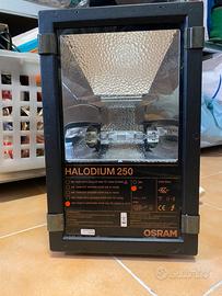 Faro professionale Osram Halodium 250 W