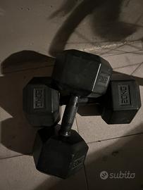 2 dumbbell da 20kg l’uno