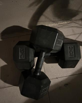 2 dumbbell da 20kg l’uno