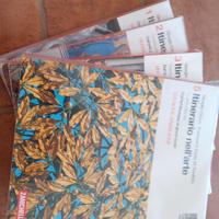 Itinerario nell'arte