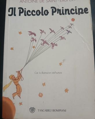 Libro Il piccolo principe di Antonie De Saint Exup