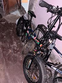 Bici elettrica